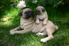 Load image into Gallery viewer, Mother &amp; Baby Pugs
