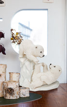 Load image into Gallery viewer, Polar Bear Cubs Playing
