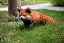 Load image into Gallery viewer, Red Panda Cub Walking
