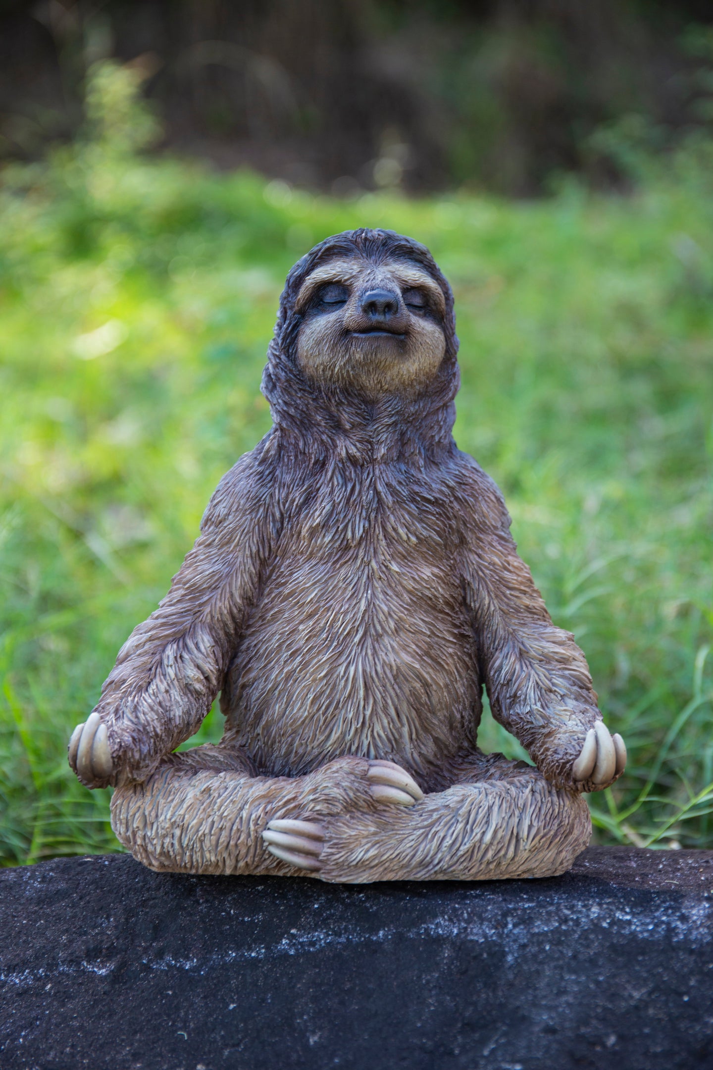 87657-A - Sloth In Meditation