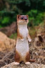 Load image into Gallery viewer, Title
