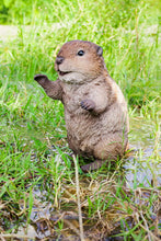 Load image into Gallery viewer, Title
