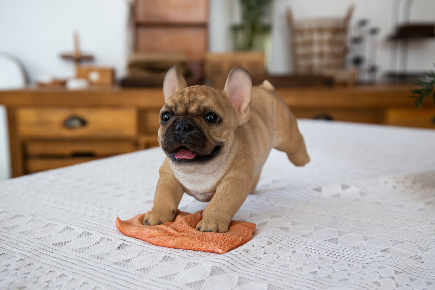 87677-E - French Bulldog Mopping The Floor
