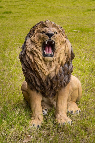 87693 - Lion Roaring Extra Large