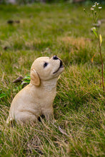 Load image into Gallery viewer, Title
