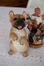 Load image into Gallery viewer, Standing French Bulldog
