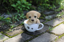 Load image into Gallery viewer, Title
