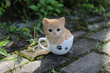 Load image into Gallery viewer, Title
