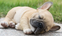 Load image into Gallery viewer, Sleeping Pug Puppy Statue
