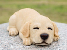 Load image into Gallery viewer, Title
