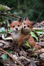 Load image into Gallery viewer, 87719-G - Fox Pups Hugging
