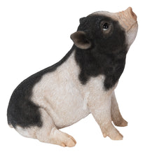 Load image into Gallery viewer, 87726-D - Baby Pig Sitting - Black And White
