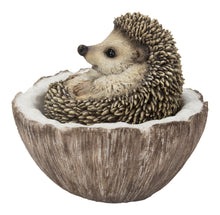 Load image into Gallery viewer, 87743-D - Coconut Hedgehog
