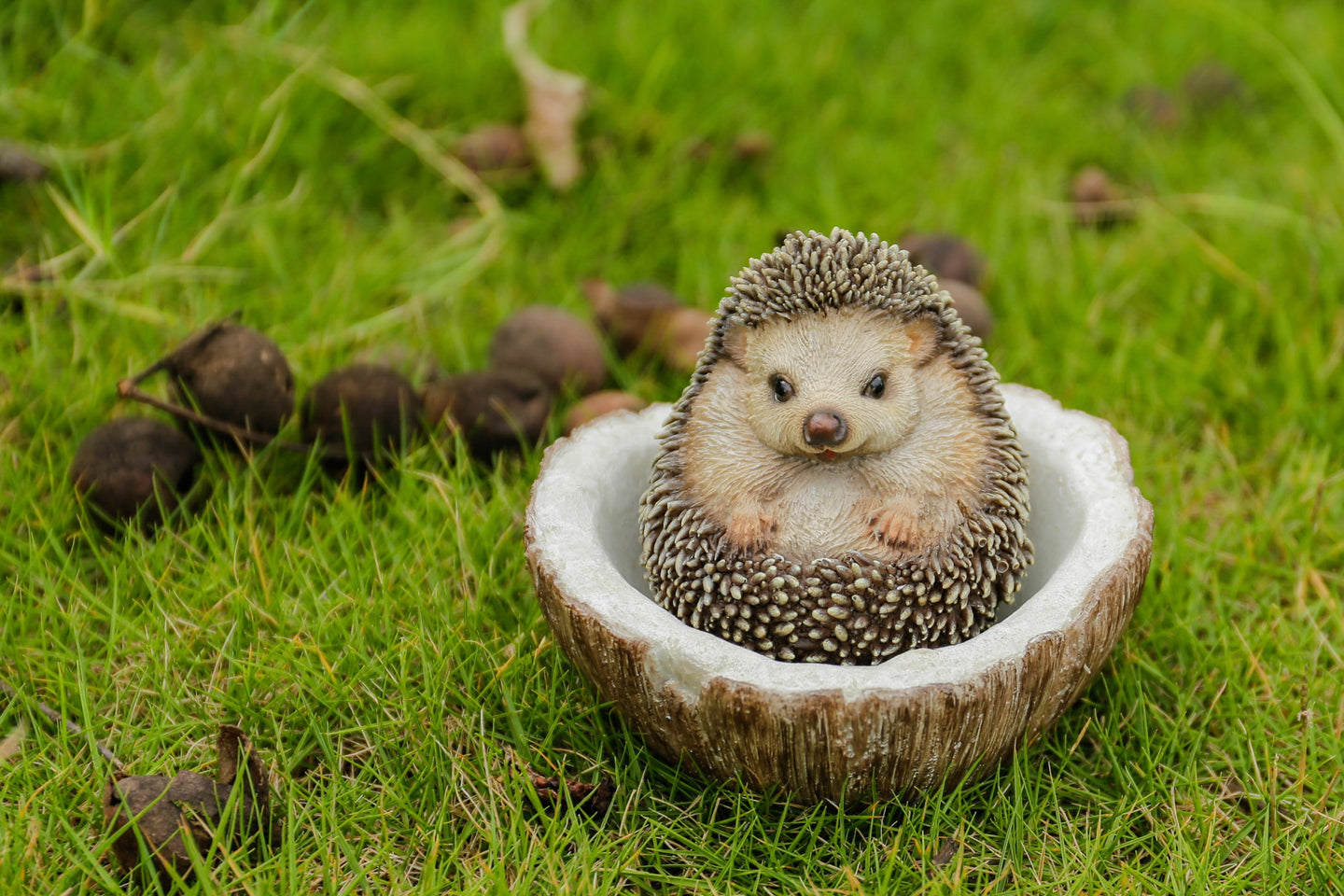87743-D - Coconut Hedgehog