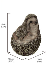 Load image into Gallery viewer, 87743-E - Mother &amp; Baby Hedgehogs On Back
