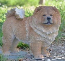 Load image into Gallery viewer, Title
