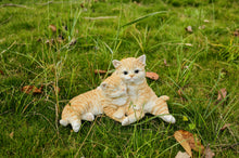 Load image into Gallery viewer, Couple Cat - Orange
