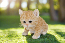 Load image into Gallery viewer, Title
