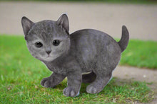 Load image into Gallery viewer, Title
