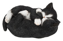 Load image into Gallery viewer, 87757-S - Sleeping Couple Cats - Black And White
