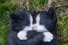 Load image into Gallery viewer, 87757-S - Sleeping Couple Cats - Black And White
