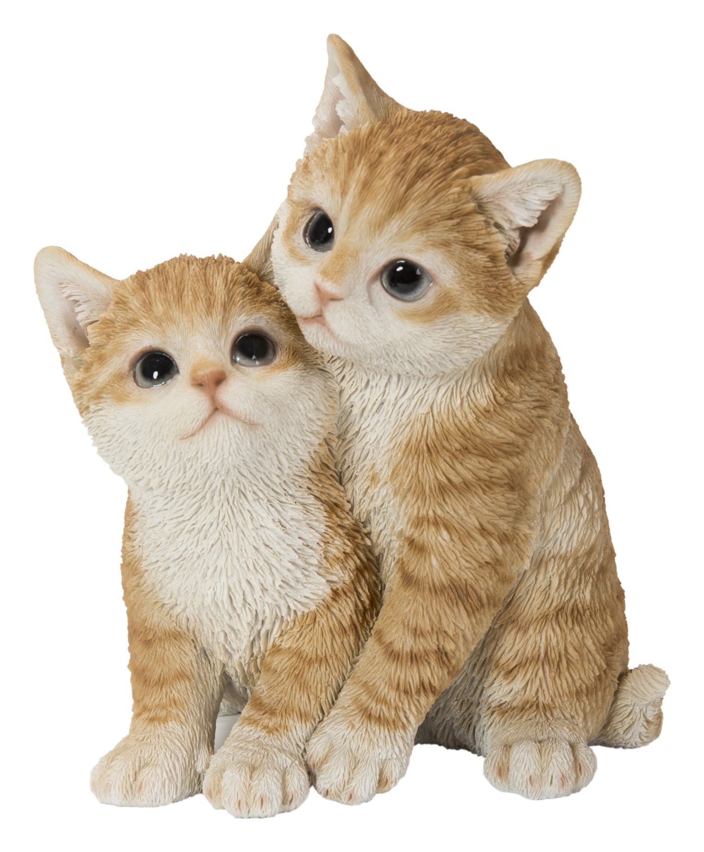 87757-T - Kittens Hugging - Orange
