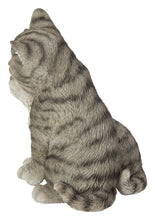 Load image into Gallery viewer, 87757-U - Kittens Hugging - Grey

