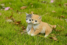Load image into Gallery viewer, Kittens Sitting Together
