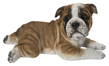 Load image into Gallery viewer, 87764-A - Lying Bulldog Pup
