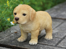 Load image into Gallery viewer, Title
