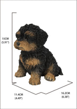 Load image into Gallery viewer, 87771-18 - Baby Cavapoo Black &amp; Tan
