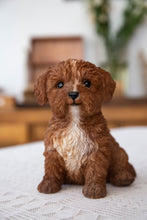 Load image into Gallery viewer, 87771-19 - Baby Cavapoo Chocolate
