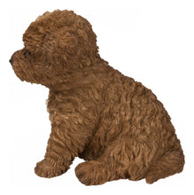 Load image into Gallery viewer, 87771-19 - Baby Cavapoo Chocolate
