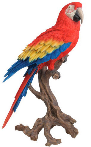 87776 - Large Macaw Scarlet