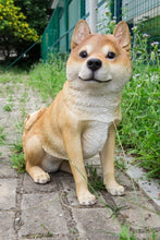 Load image into Gallery viewer, Title
