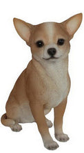 Load image into Gallery viewer, Title
