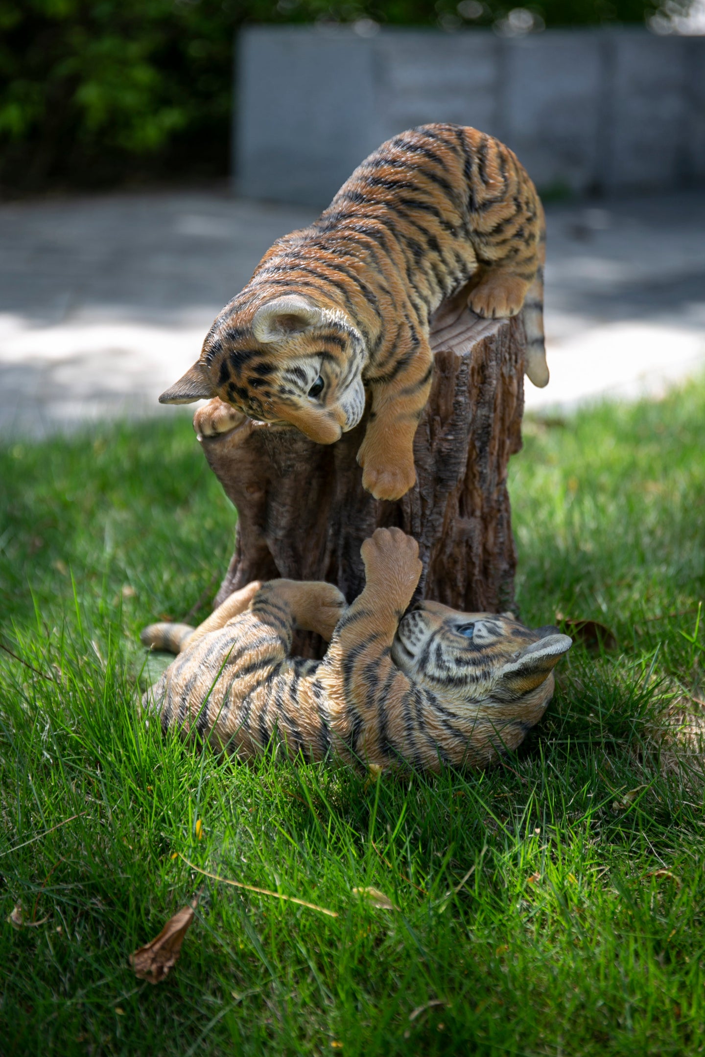 87808-D - Playful Tiger Cubs