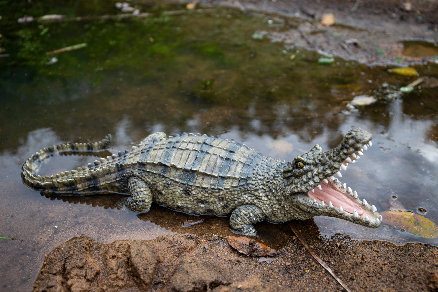 87820 - Crocodile With Mouth Open Up