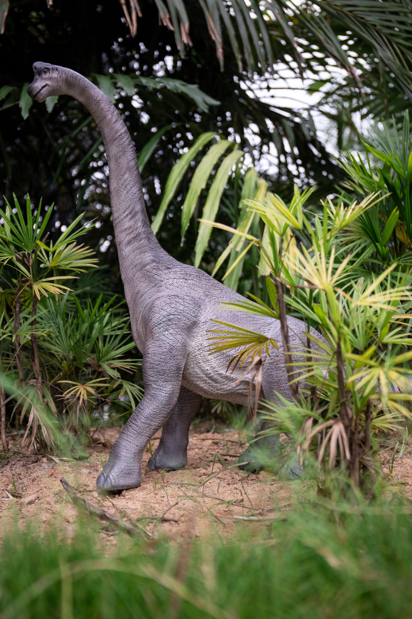 87821-A - Dinosaur-Brachiosaurus