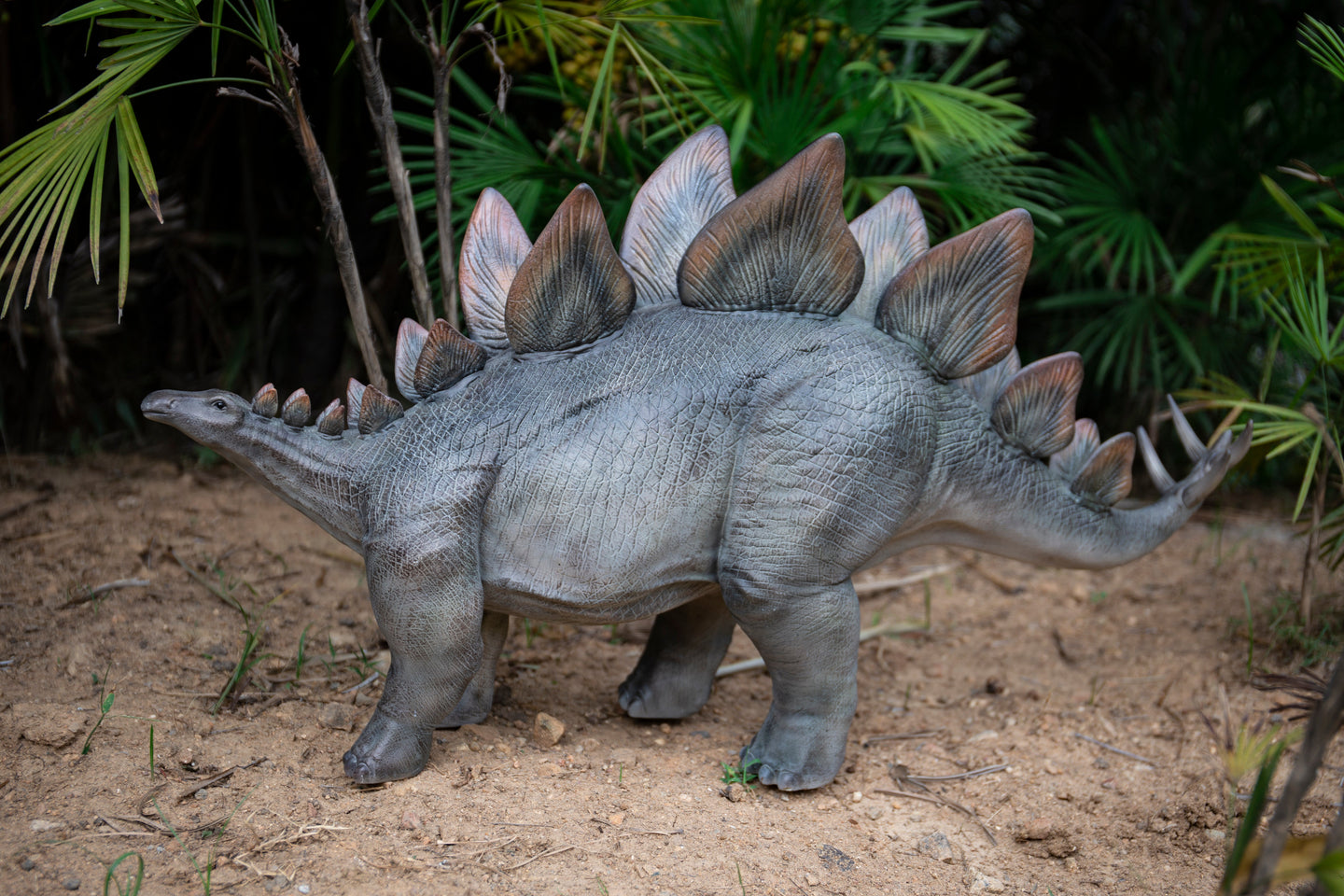 87821-B - Dinosaur-Stegosaurus