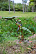 Load image into Gallery viewer, Lotus Leaf with Red-Eyed Tree Frog
