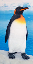 Load image into Gallery viewer, Title
