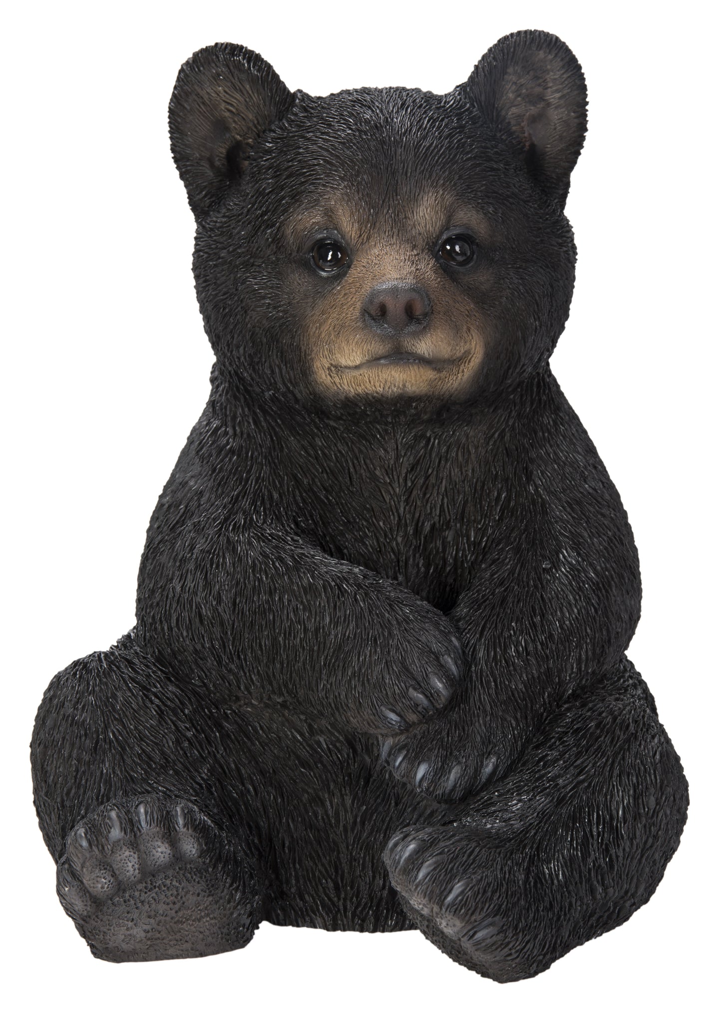 87957-F - Sitting Black Bear Cub