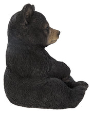 Load image into Gallery viewer, 87957-F - Sitting Black Bear Cub
