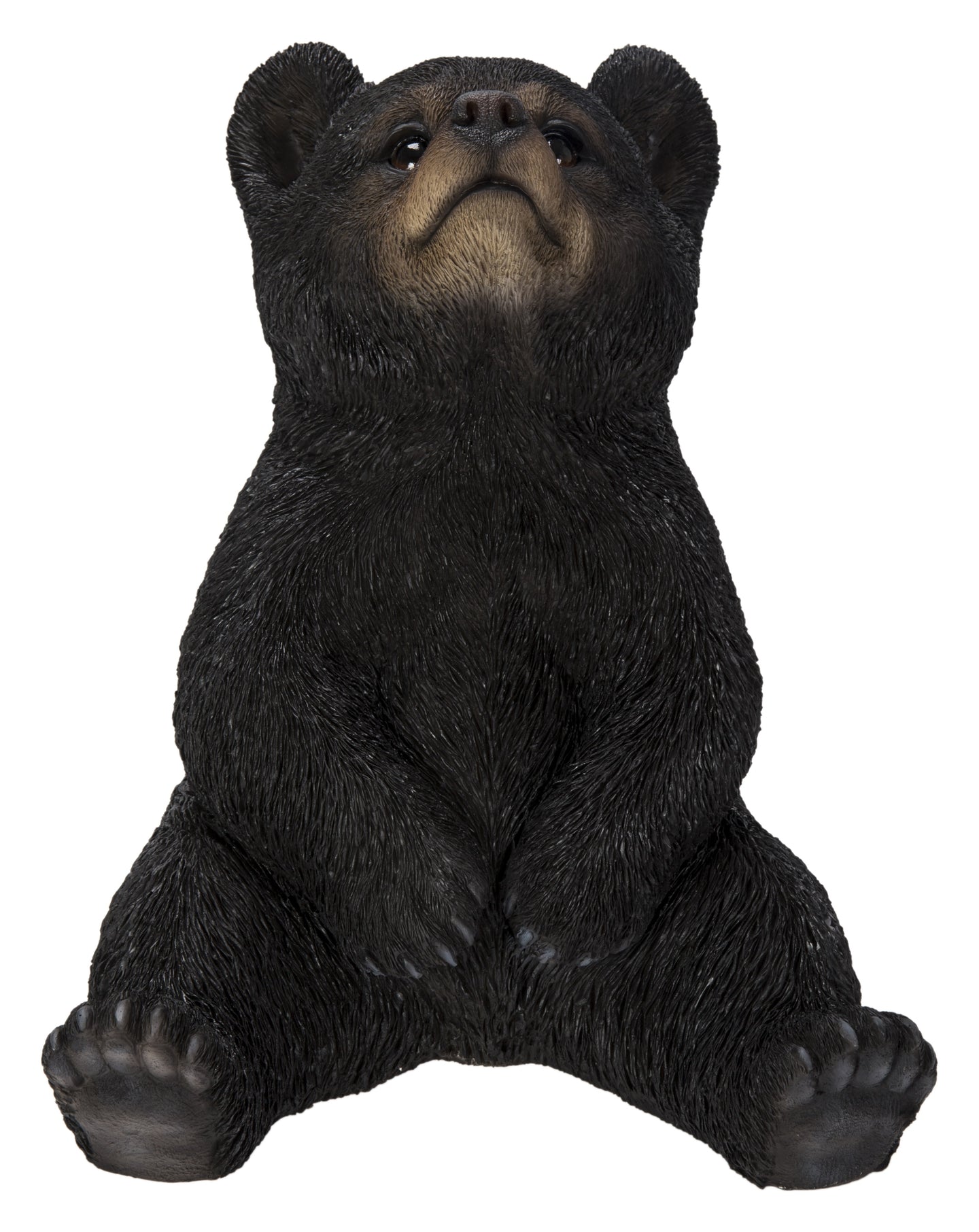 87957-G - Sitting Black Bear Cub With Head Up