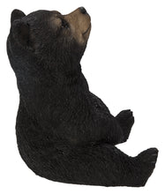 Load image into Gallery viewer, 87957-G - Sitting Black Bear Cub With Head Up
