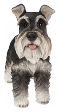 Load image into Gallery viewer, 87983-A - Standing Miniature Schnauzer
