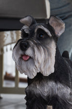 Load image into Gallery viewer, 87983-A - Standing Miniature Schnauzer
