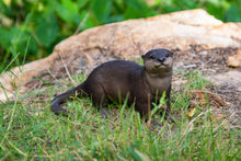 Load image into Gallery viewer, Brown Standing Otter
