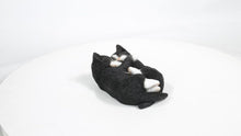 Load and play video in Gallery viewer, 87757-S - Sleeping Couple Cats - Black And White
